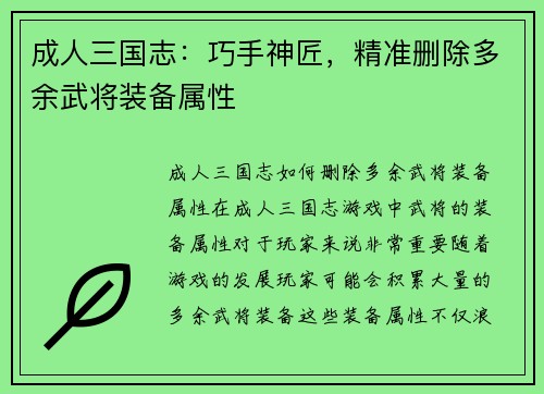 成人三国志：巧手神匠，精准删除多余武将装备属性